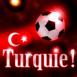 Turquie: Croissant étoilé et ballon